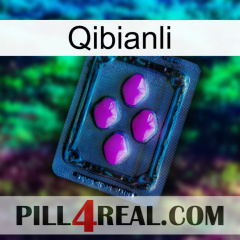 Qibianli 04